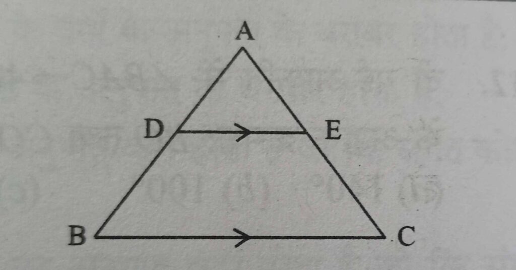 Triangle Sides [Q1]