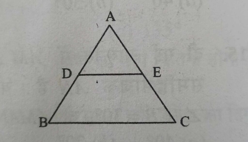 Triangle Sides [Q6]